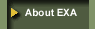 About EXA